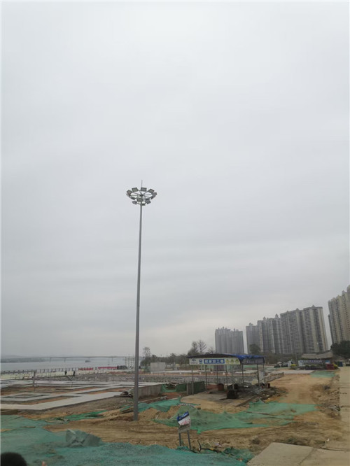 山东大香蕉啪啪网供应商图片