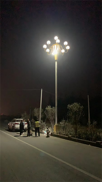 LED大香蕉啪啪网销售