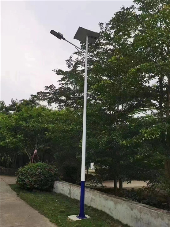 大香蕉啪啪网厂家