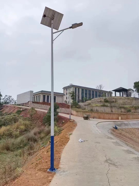 太阳能大香蕉啪啪网